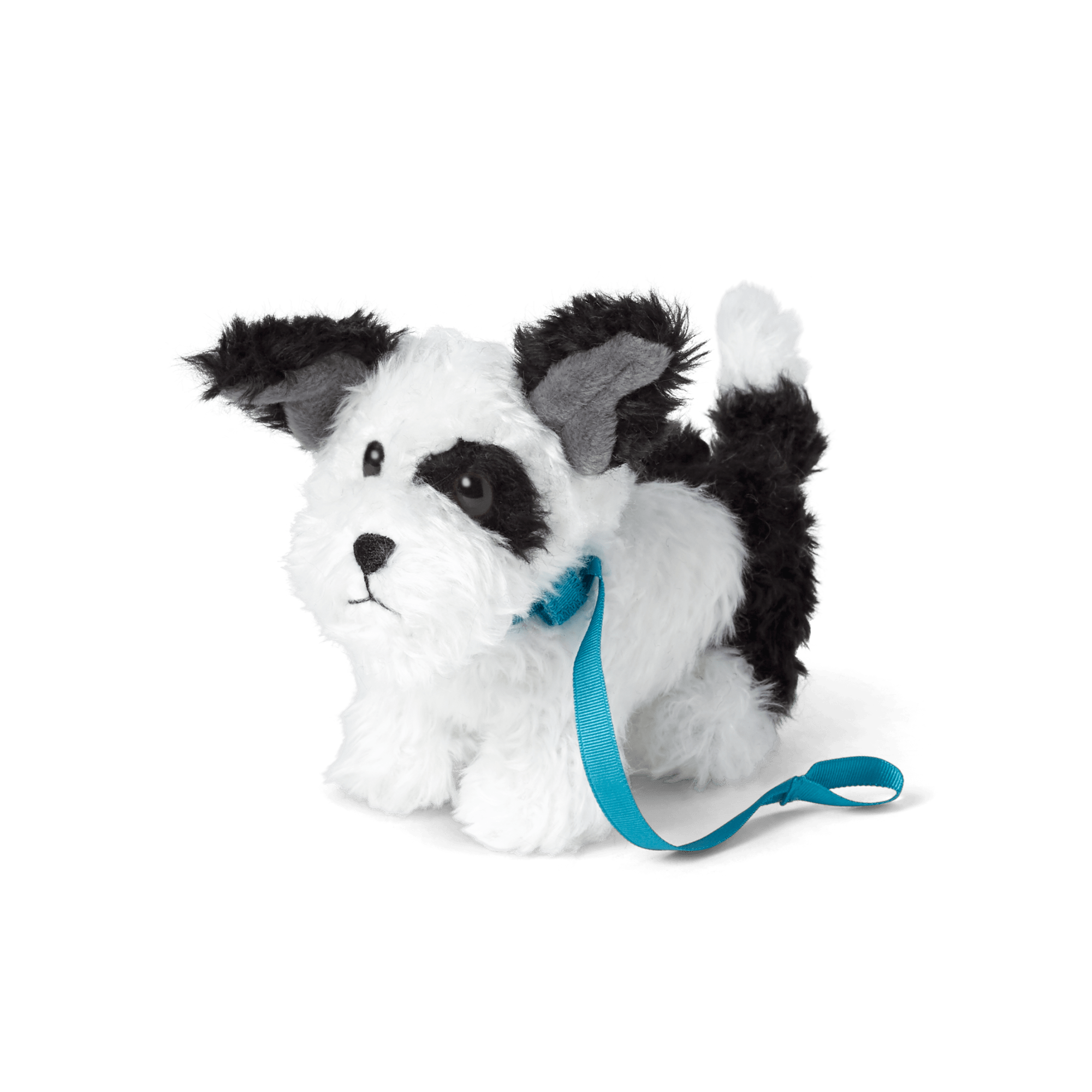 Melody's Dog, Bo (Historical Characters)