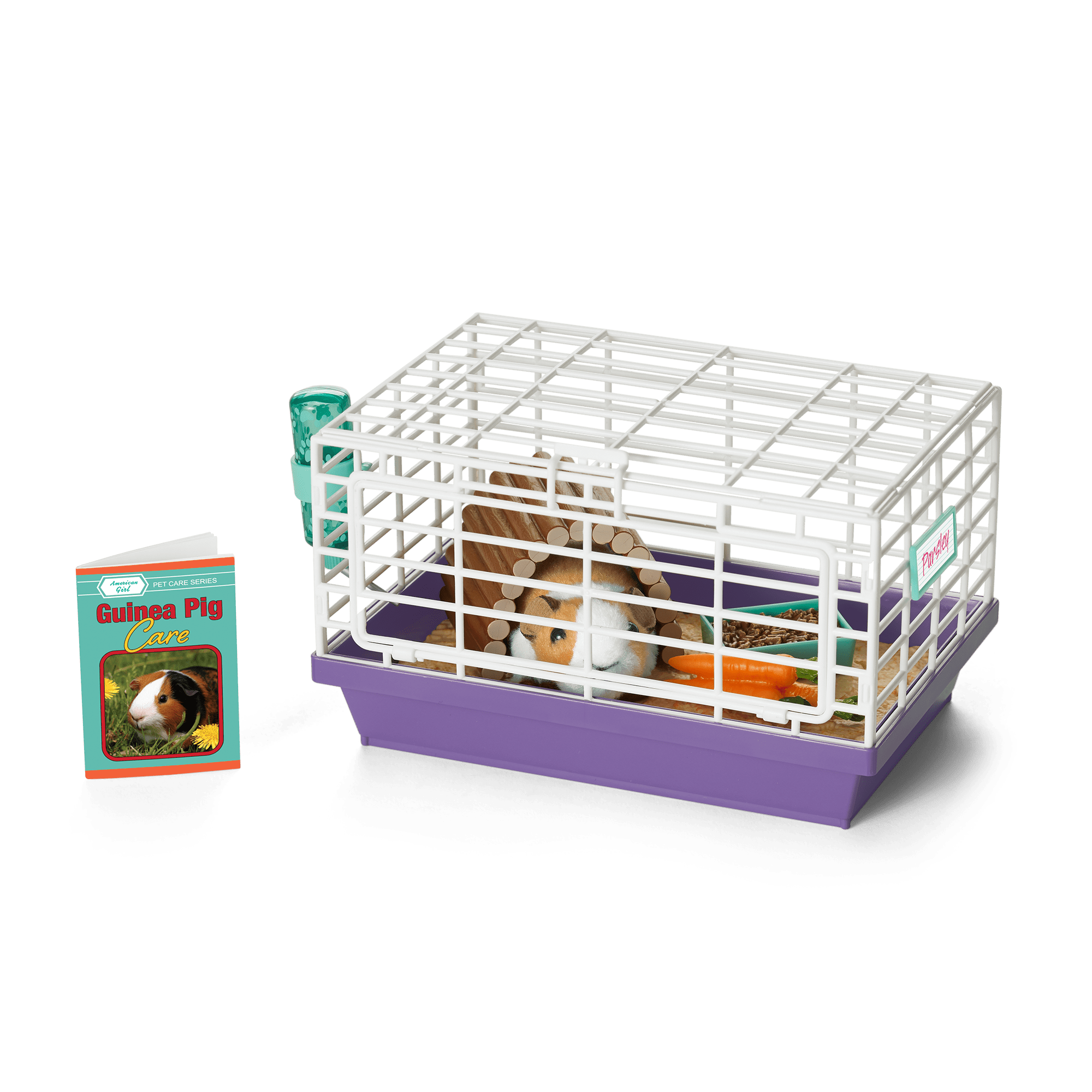 Courtney's Guinea Pig (Historical Characters) - Image 2